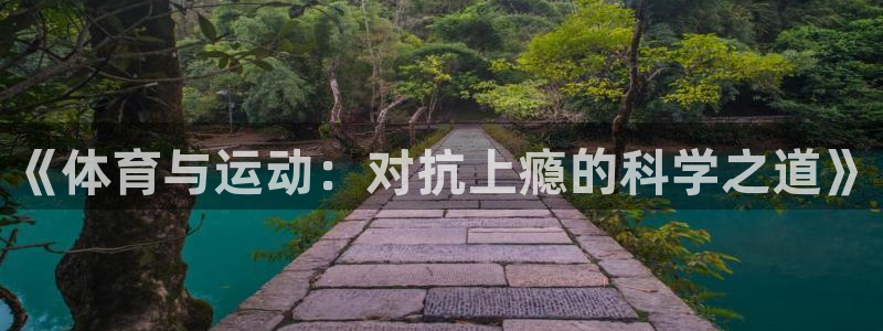 逐梦国际4