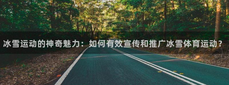 逐梦国际2登录地址