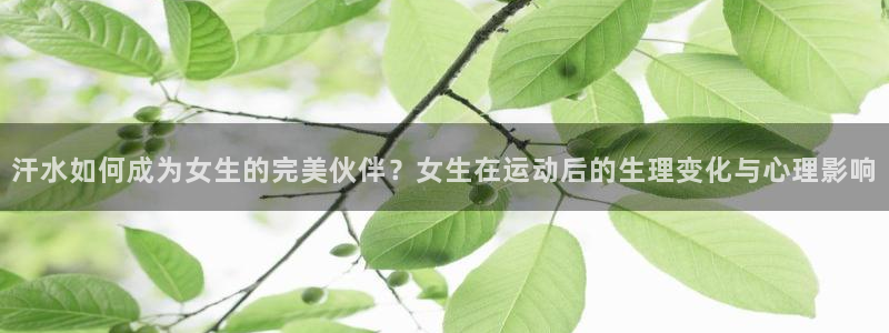 逐梦国际2平台注册