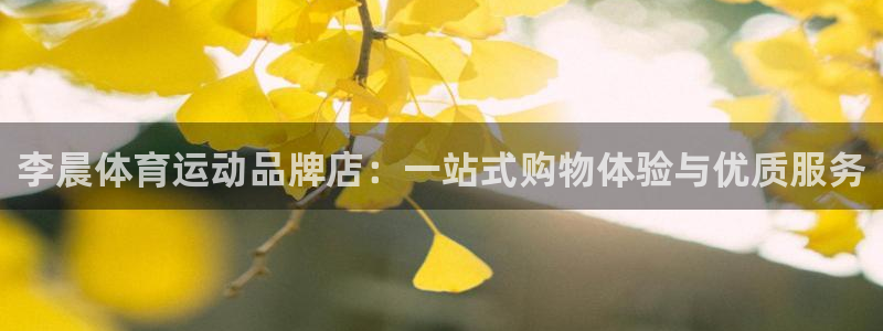逐梦国际4官网