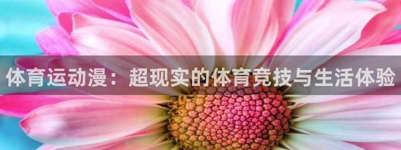 逐梦国际平台注册