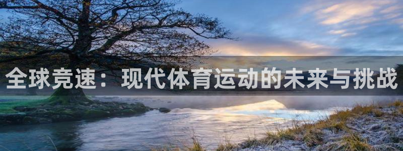 逐梦国际体育官网入口登录