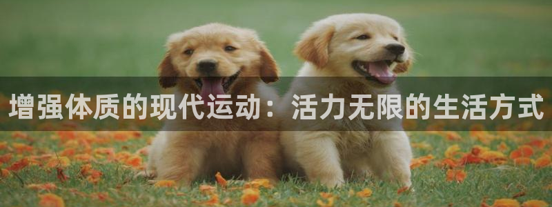 逐梦国际体育1招商