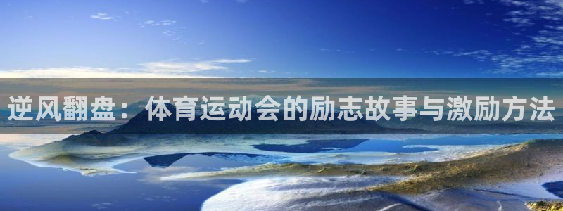逐梦国际登录入口
