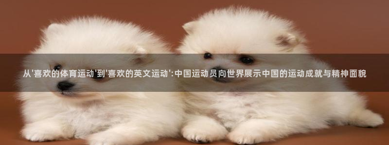 意昂招商