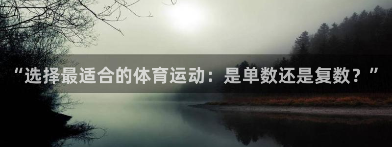 逐梦国际体育app下载