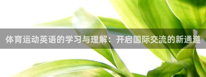 逐梦国际3官网登录