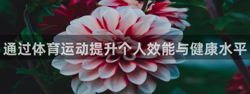 意昂3官网登录