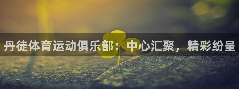 逐梦国际体育f开户