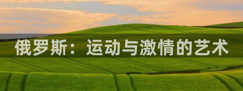逐梦国际官网入口