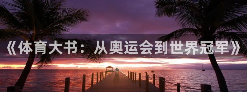逐梦国际体育网页版入口