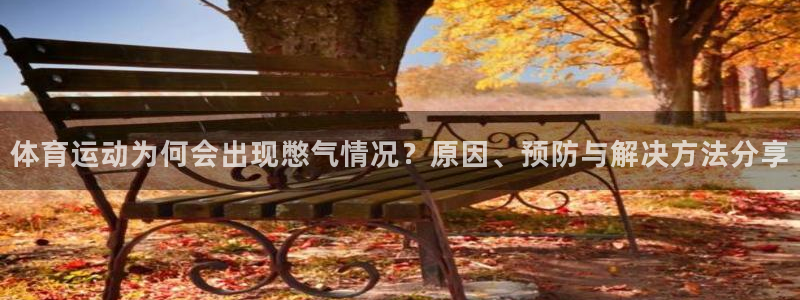 逐梦国际3官网