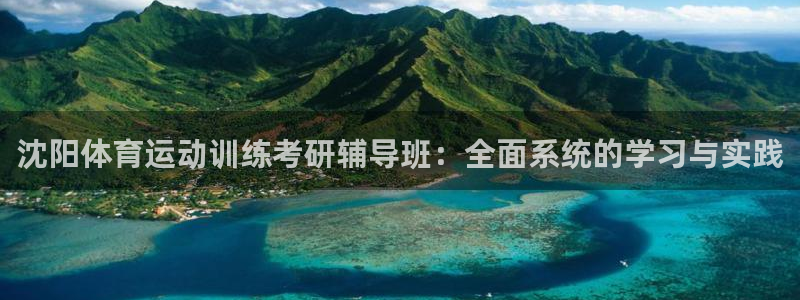 逐梦国际平台总代理