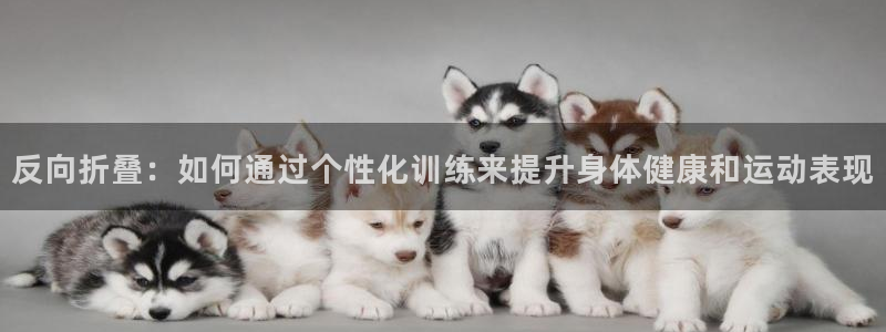 杭州意昂科技有限公司