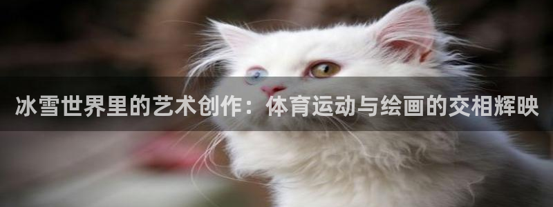 逐梦国际能源