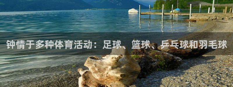 逐梦国际体育凯捷平台注册
