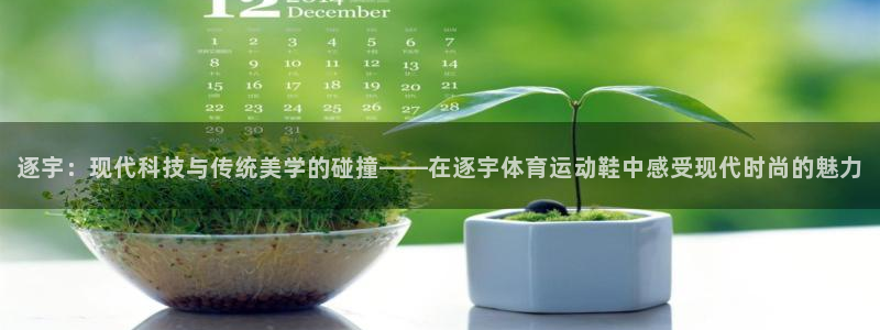 逐梦国际4平台