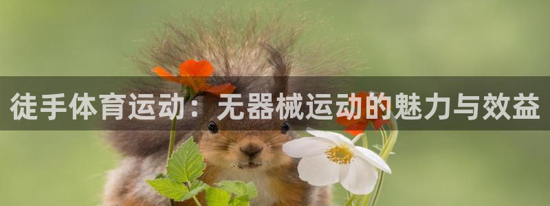 意昂3平台登录注册