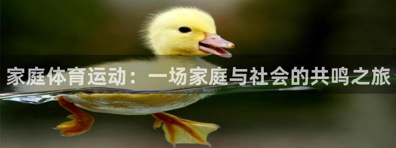逐梦国际体育凯捷平台代理