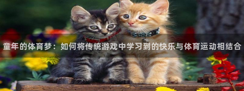 逐梦国际平台开户链接