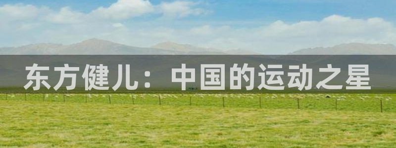 逐梦国际集团官网