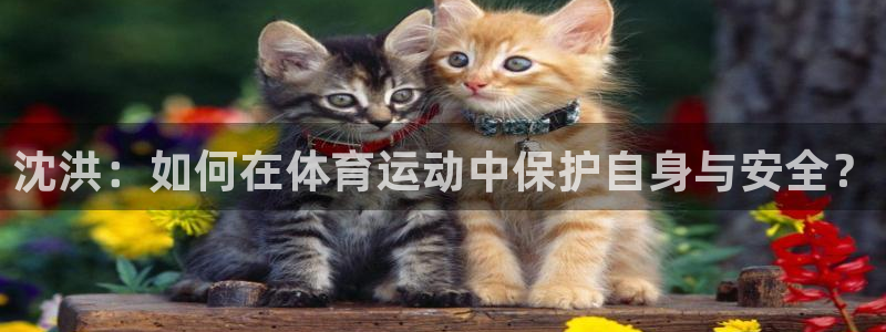 逐梦国际招商