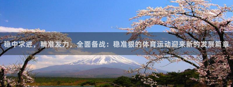 逐梦国际3代理