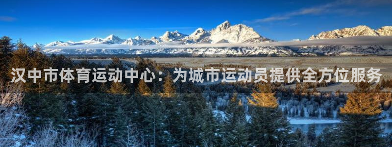 意昂体育官网