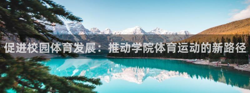逐梦国际体育