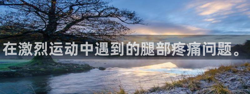 逐梦国际代理注册