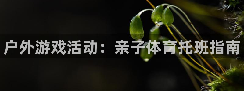 逐梦国际体育老板是谁