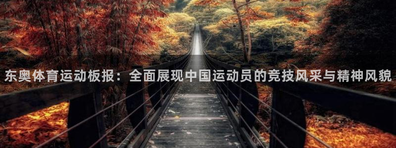 上海逐梦国际汽车电子有限公司