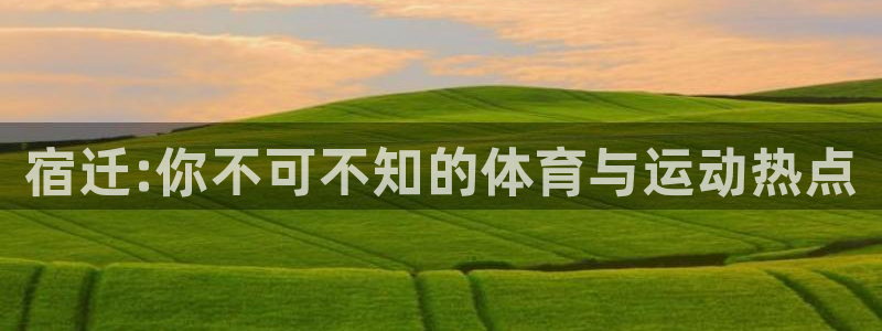 逐梦国际登录入口