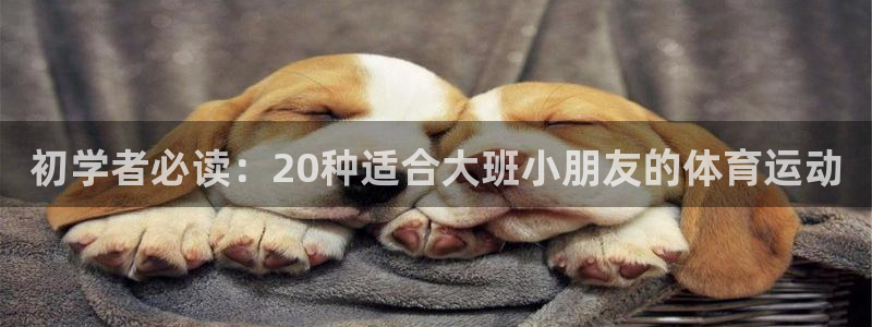 逐梦国际凯捷平台注册链接