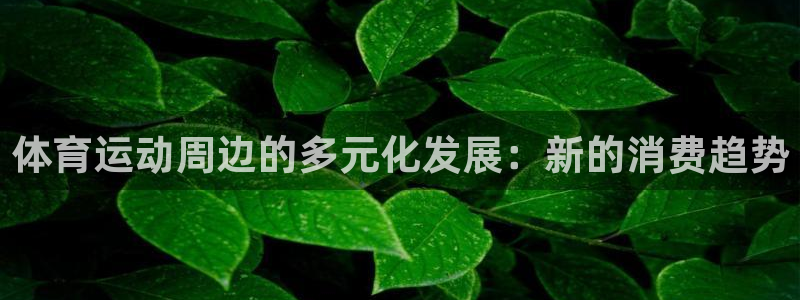 意昂4